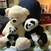あきまる