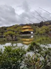 あーの画像