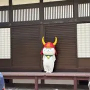 みやこの画像