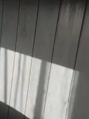 かいりの画像