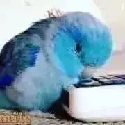 smile感謝♡冬物お値引き可能♪