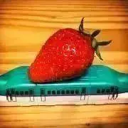 PONの画像