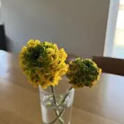 断捨離中の画像