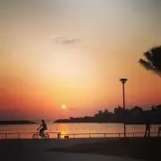 AMO