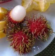 ベルモットの画像