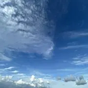 mi-mo