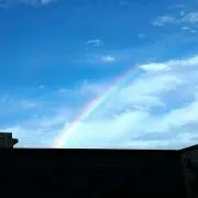じょーじの画像