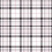 みいこの画像