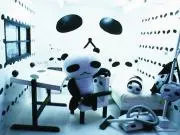 pandafulllifeの画像