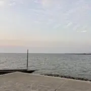 のんぼの画像