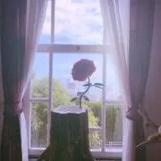 りお * 購入前コメント * プロフ必読
