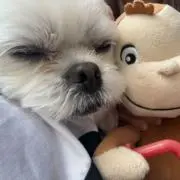 みの画像