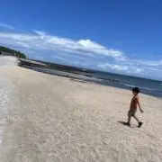 Uの画像