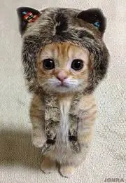 KlYUの画像