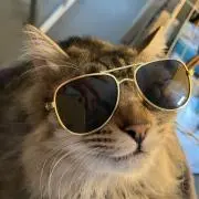 日下　ハナコ
