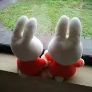 キングケイ