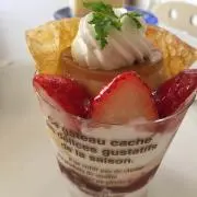 yoppi