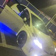 しげの画像