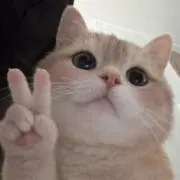 アンニョン大先生の画像