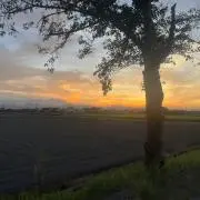 ニック