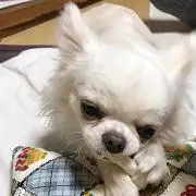 ♡m.mama♡娘体調不良