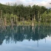きたのみずうみ