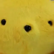 Miの画像
