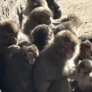 たちやまの画像