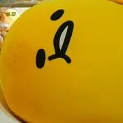 タヌミ