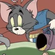 Gonn