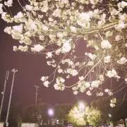 ｍの画像