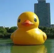 M子の画像