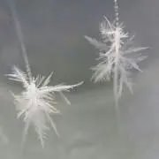 草野球