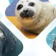 るんの画像