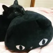みはるの画像