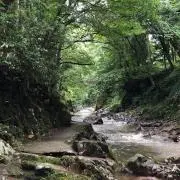 mizuの画像