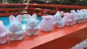 かっぴー　土日祝も発送いたします！！の画像