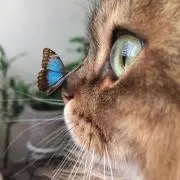 とあの画像