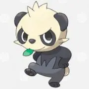 ヤンチャム♪