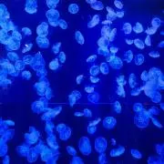 rayminの画像