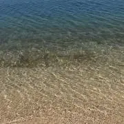ぽん酢の画像