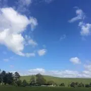 Yukikoの画像