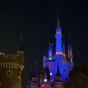 ハリネズミの画像