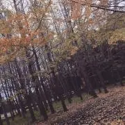 Hiromasaの画像