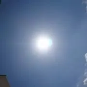 ナイジュの画像