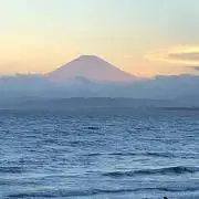 カスミンの画像