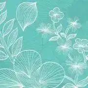 ベルーガ★プロフご一読下さいの画像