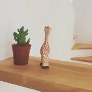 プチ子DXの画像