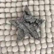 ありの画像