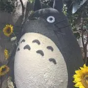 まあの画像